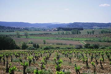 Domaine de Villemajou, Corbières Boutenac